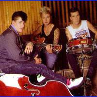 Stray Cats圖片照片_Stray Cats