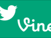 vine圖片照片
