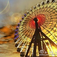 海燕兒圖片照片_海燕兒