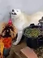 萌次元最新一期線上看_全集完整版高清線上看_好看的綜藝