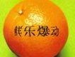 鮮樂爆動 NO.2