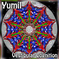 Vestibular Cognition