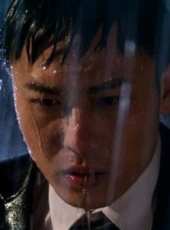 楊紫茳演過的電影電視劇線上看_影視作品大全_好看的明星