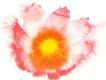 明日に咲く花