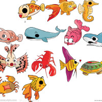魚兒圖片照片_魚兒
