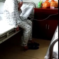 羅豆豆圖片照片_羅豆豆