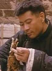 寧靜最新電影_寧靜電影全集線上看_好看的電影