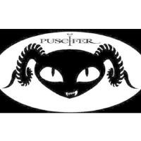Puscifer圖片照片_Puscifer