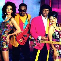Chic Orchestra圖片照片_Chic Orchestra