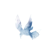淤丸Arbres最新歌曲_最熱專輯MV_圖片照片