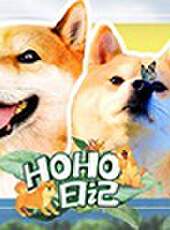 HOHO日記最新一期線上看_全集完整版高清線上看_好看的綜藝