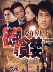 唐治平最新電視劇_唐治平電視劇作品全集線上看_好看的電視劇