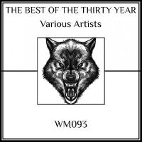 Wolfsheart個人資料介紹_個人檔案(生日/星座/歌曲/專輯/MV作品)