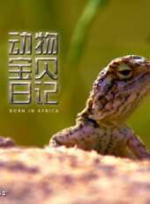 最新2020其它電視劇_好看的2020其它電視劇大全/排行榜_好看的電視劇