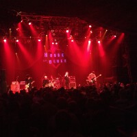 The Psychedelic Furs圖片照片_The Psychedelic Furs