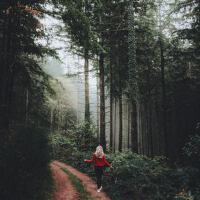 Rain Sound, River Water and Nature Forest Sounds C