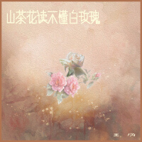 王為歌曲歌詞大全_王為最新歌曲歌詞
