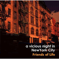 A Vicious Night In New York City