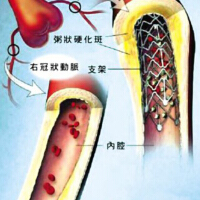 Nu Life圖片照片_Nu Life