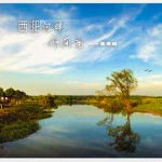 西淝河畔好風光