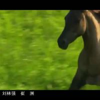 王衛曉圖片照片_王衛曉