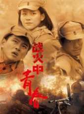 戰火中青春劇情介紹線上看_分集劇情介紹/大結局_好看的電視劇