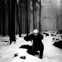 Dark Fury圖片照片_Dark Fury