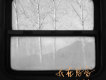 我在思念的車上