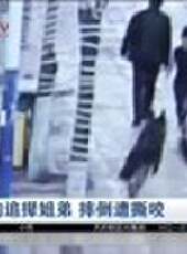 成都全接觸最新一期線上看_全集完整版高清線上看 - 蟲蟲綜藝