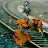 范宗沛 林海圖片照片_范宗沛 林海