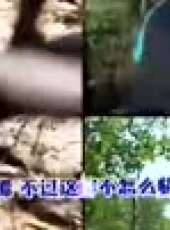 金炳萬的叢林法則最新一期線上看_全集完整版高清線上看_好看的綜藝