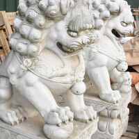 Chinese Foo..圖片照片_Chinese Foo..