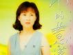 林慧萍歌曲歌詞大全_林慧萍最新歌曲歌詞