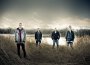 Crestfallen專輯_AurasCrestfallen最新專輯