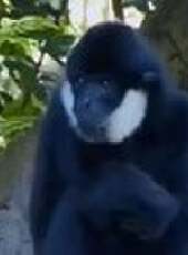 卡酷動物園 2020最新一期線上看_全集完整版高清線上看_好看的綜藝