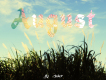August圖片照片