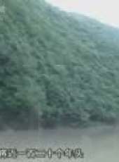 真心英雄最新一期線上看_全集完整版高清線上看_好看的綜藝