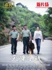 涓子演過的電影電視劇線上看_影視作品大全_好看的明星