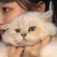 王jiaojiao歌曲歌詞大全_王jiaojiao最新歌曲歌詞
