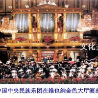 中央民族樂團個人資料介紹_個人檔案(生日/星座/歌曲/專輯/MV作品)