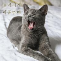 셀바이뮤직 Sellbuymusic圖片照片_照片寫真