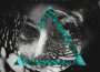 Black Diamonds專輯_IssuesBlack Diamonds最新專輯