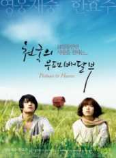 金在中演過的電影電視劇線上看_影視作品大全_好看的明星