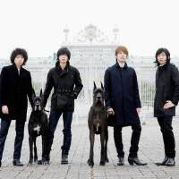 THE BAWDIES圖片照片_THE BAWDIES