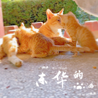 東華的貓專輯_Mc瀚涵東華的貓最新專輯
