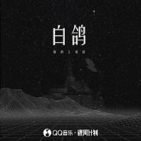 白鴿