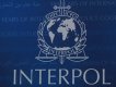 Interpol圖片照片