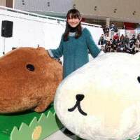 マユミーヌ圖片照片_マユミーヌ
