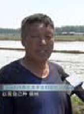 遼寧新聞最新一期線上看_全集完整版高清線上看 - 蟲蟲綜藝