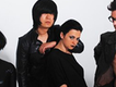 寵物同謀歌曲歌詞大全_寵物同謀最新歌曲歌詞
